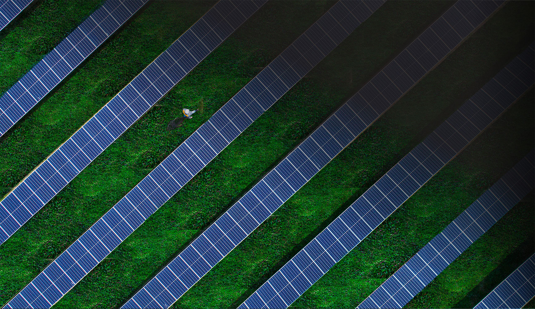 Pannelli solari visti dall'alto per la produzione di energia green